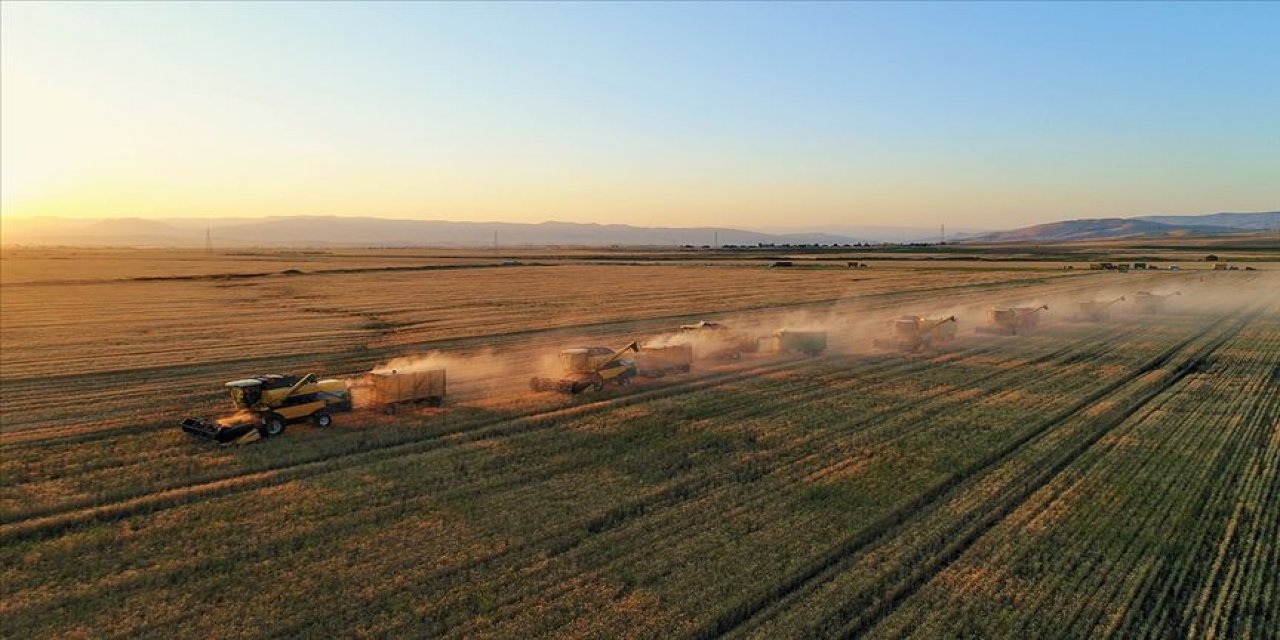 Salgın sonrası ülkeler buğday stoklama yarışında