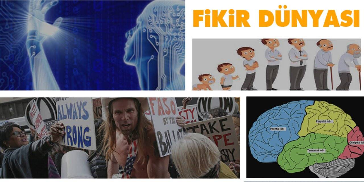 Fikir Dünyası