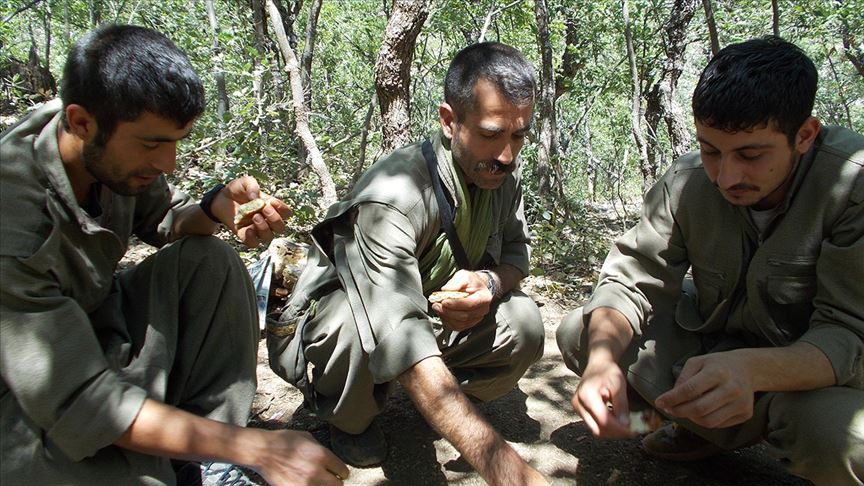 Metropollerde saldırı yapmak üzere eğitilen PKK'lı 4 terörist yakalandı