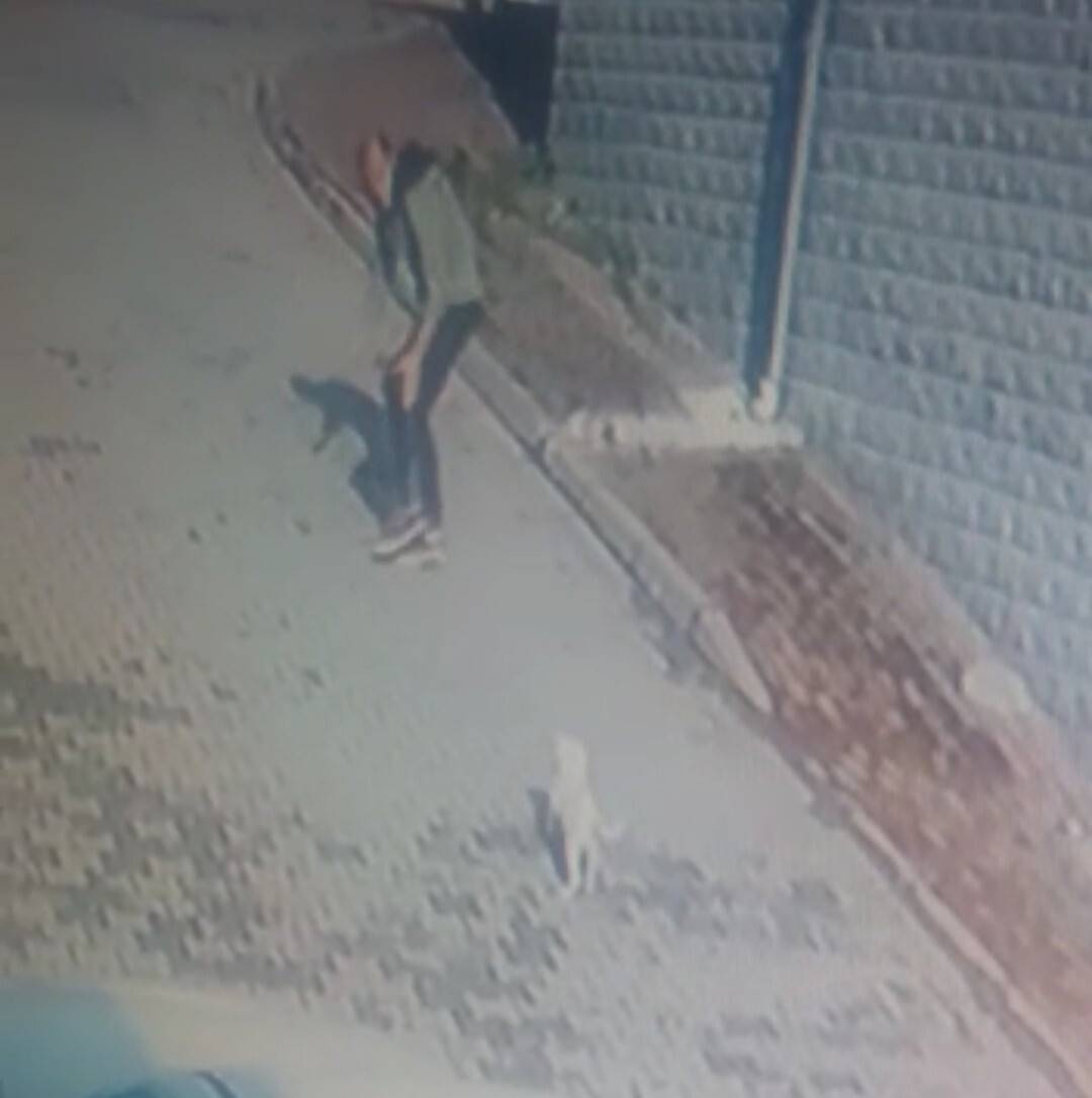 Önce köpeği sevdi, sonra kaçırdı