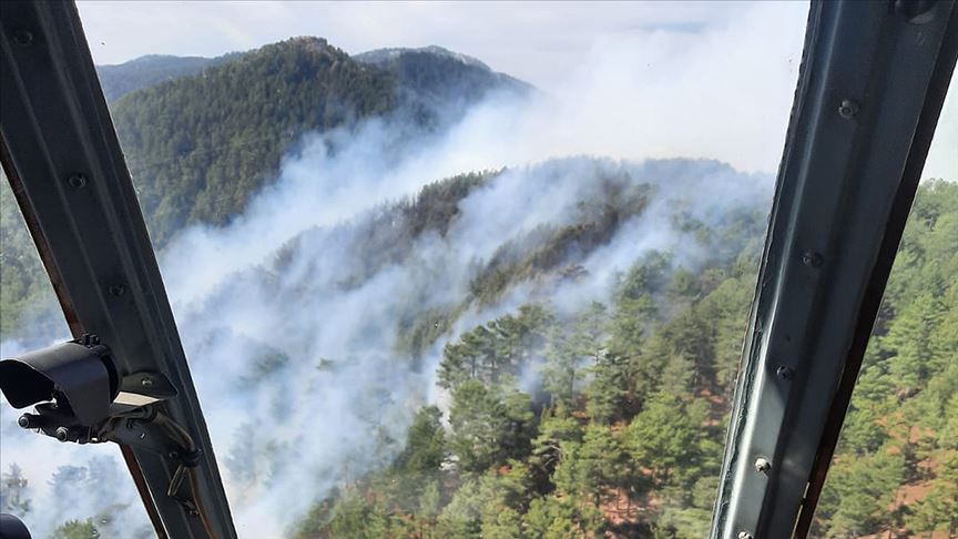 Orman yangını nedeniyle 50 ev tahliye edildi