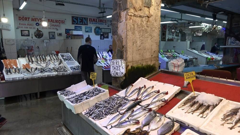 Palamut fiyatıyla cep yakıyor