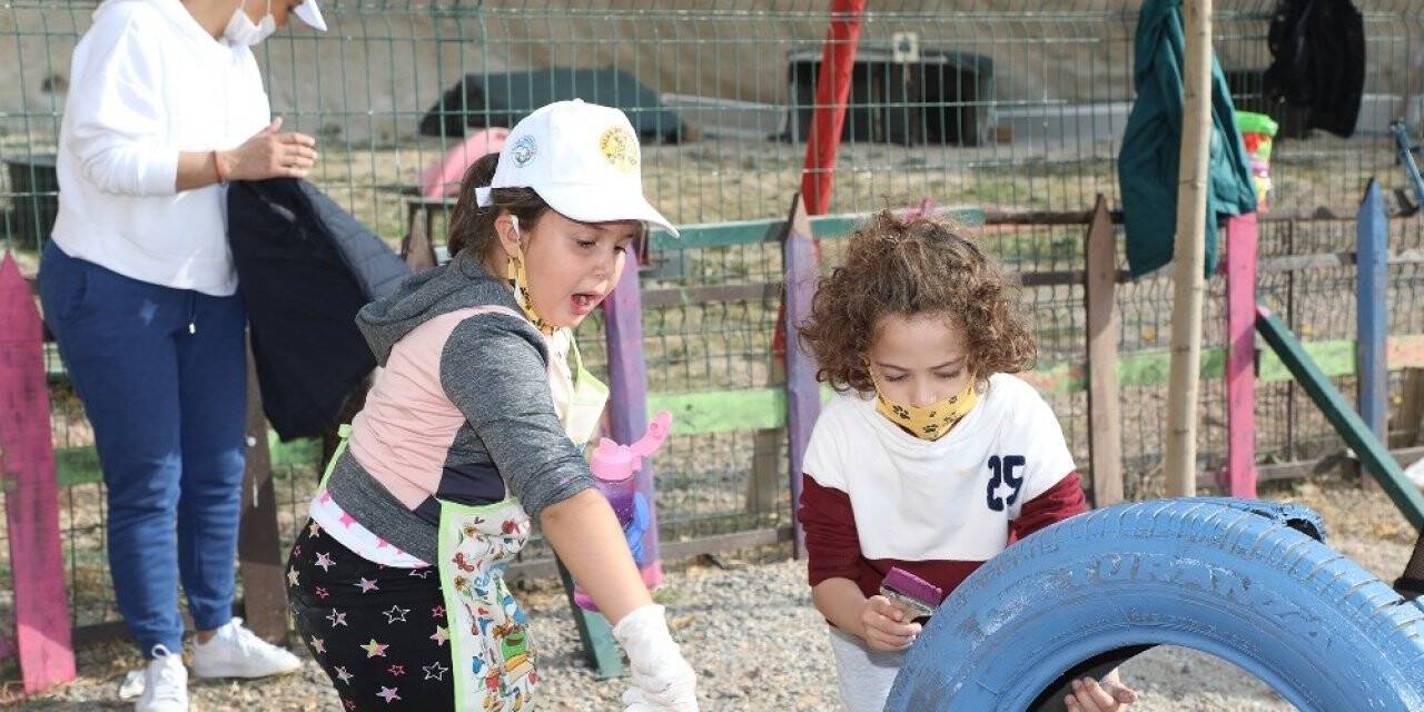 Eski otomobil lastikleri kedilerin yeni yuvası