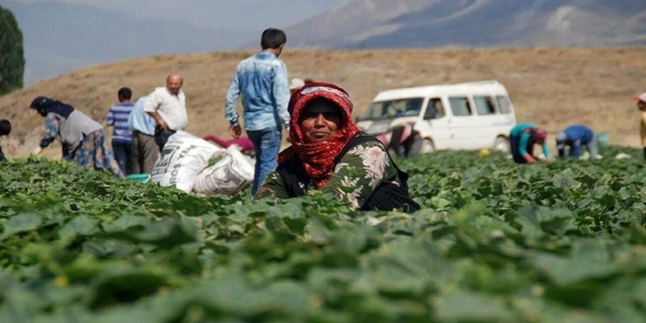 Kara, Mevsimlik İşçileri Sordu
