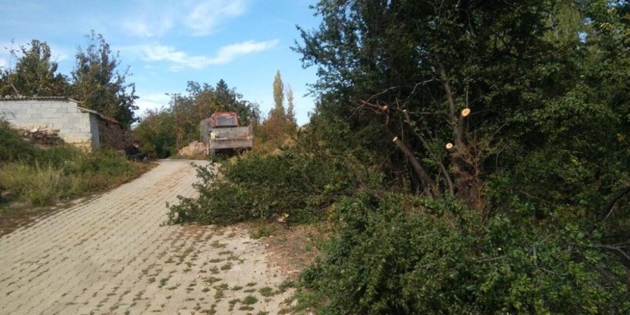 Hüyük’te ağaçlar budanıyor