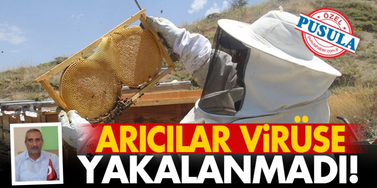Arıcılar Virüse Yakalanmadı!