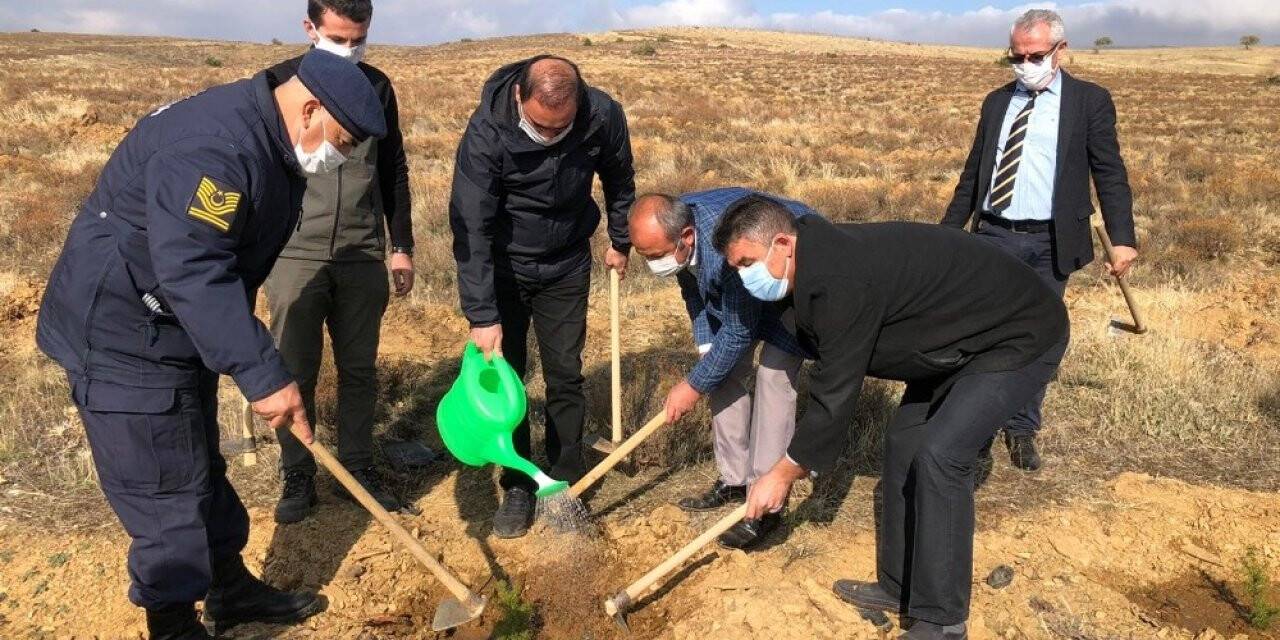 Hüyük’te 'geleceğe nefes' olmak için fidanlar toprakla buluşturuldu