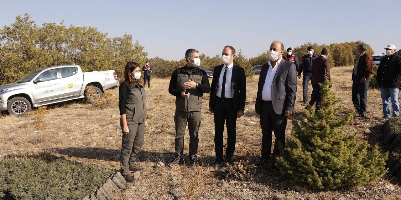 Halkapınar'da 500 fidan toprakla buluştu