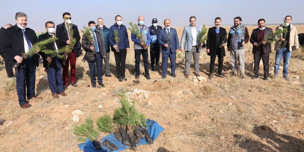 KOSKİ’den 'Geleceğe nefes' kampanyasına 42 bin fidanla destek