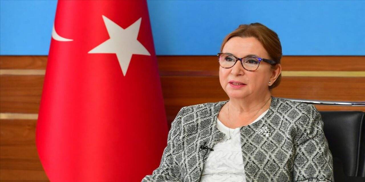 Ruhsar Pekcan: '81 İlde İhracata İlk Adım Programını Başlatıyoruz'