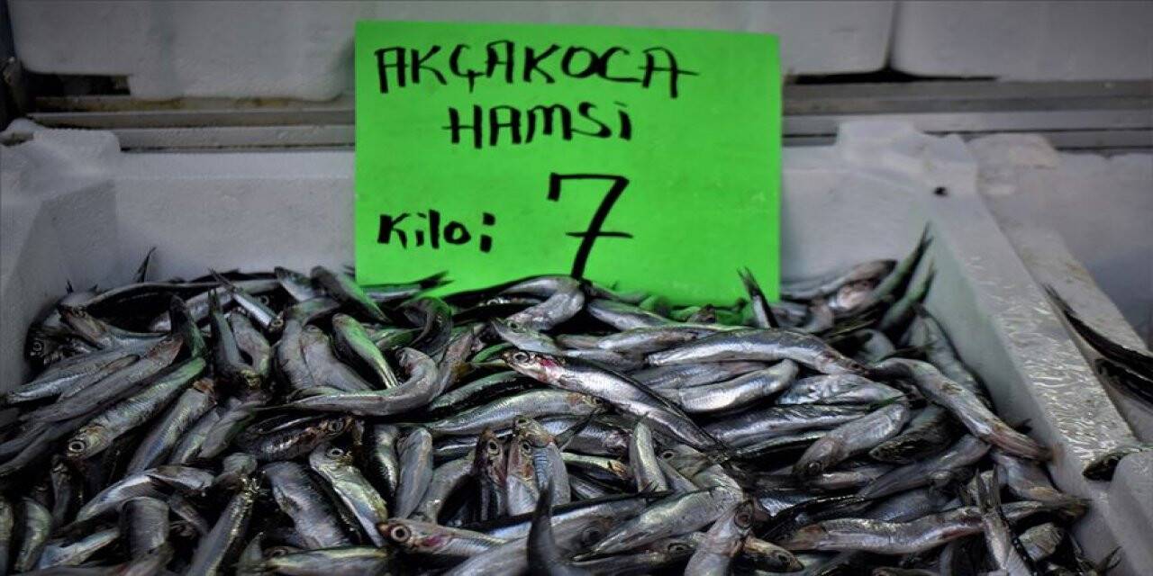 Kilosu 7 liraya düşen hamsiye büyük ilgi