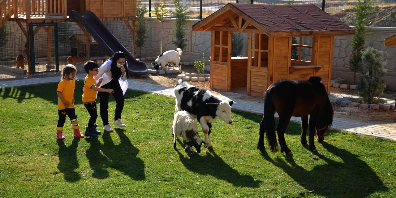 Konya'da bir anaokulunun öğrencileri at, ceylan ve kuzularla eğitim görüyor