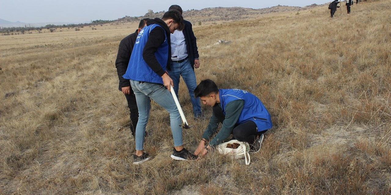 Karapınar'da binlerce meşe palamudu ekildi