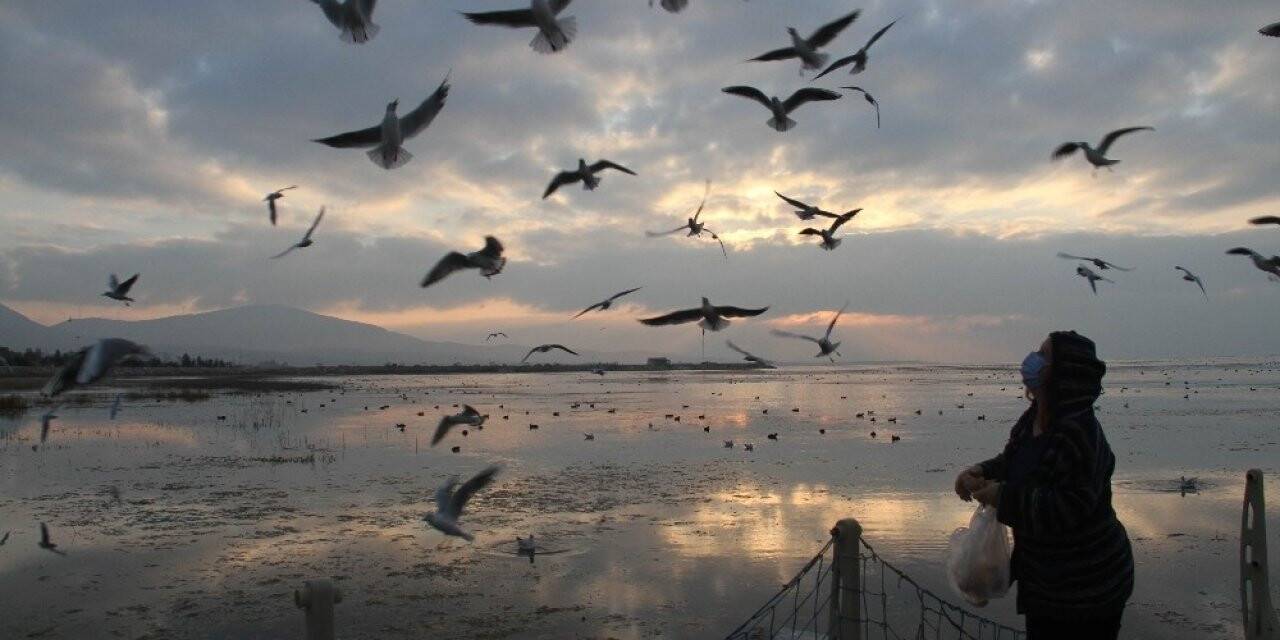 Beyşehir Gölü kuş cennetine döndü