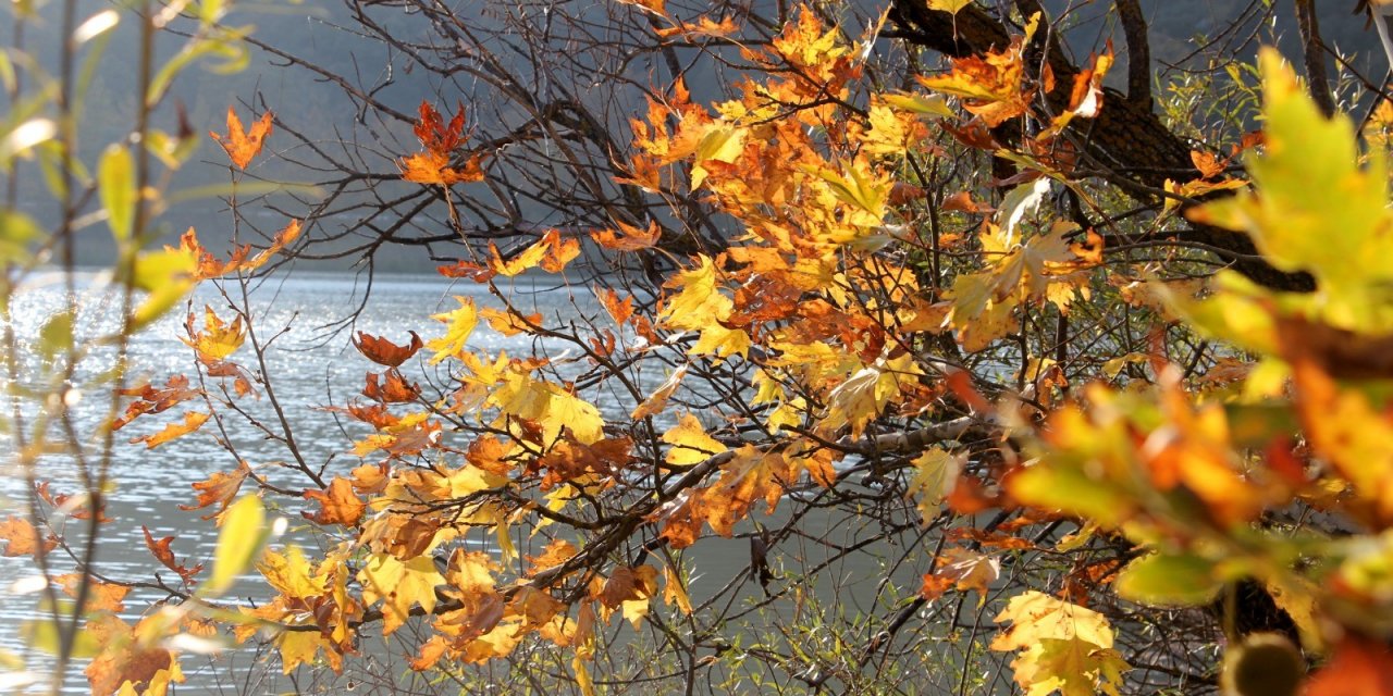 Beyşehir Gölü Milli Parkı'nda sonbahar manzaraları