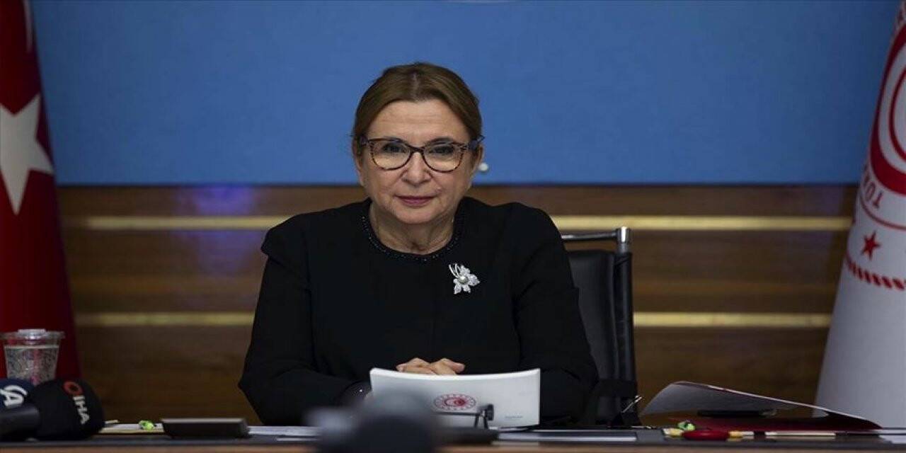 Bakan Pekcan: Türkiye potansiyel yatırım alanı