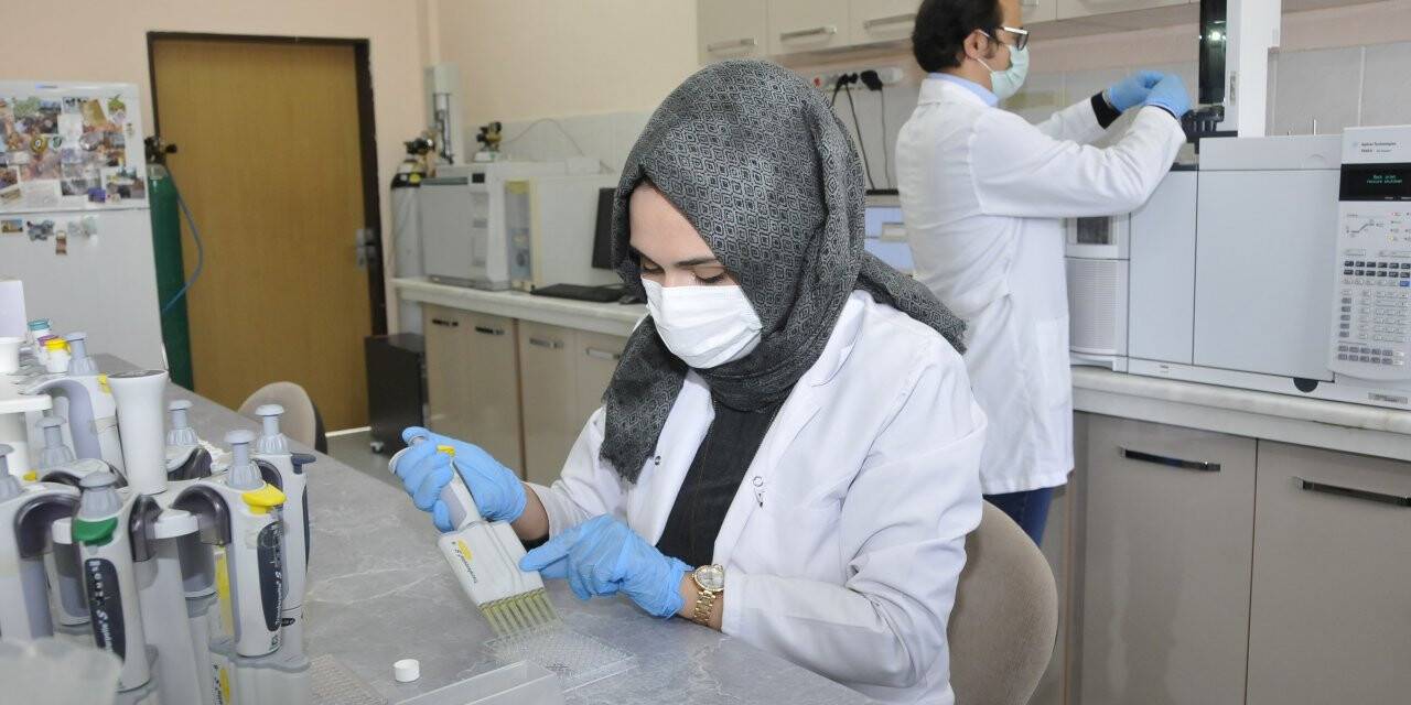Dünyadaki Tıbbi Bitkiler Selçuk Üniversitesinde Analiz Ediliyor