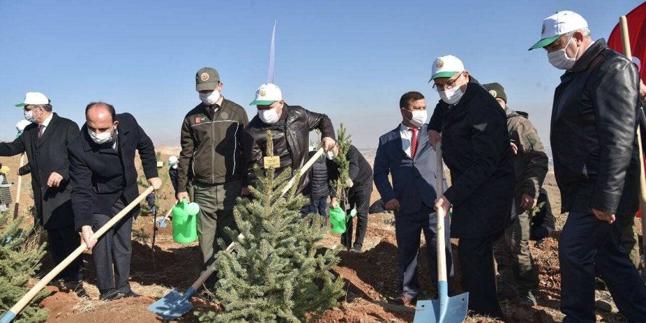 Konya’da Öğretmen Hatıra Ormanı için fidan dikimi yapıldı