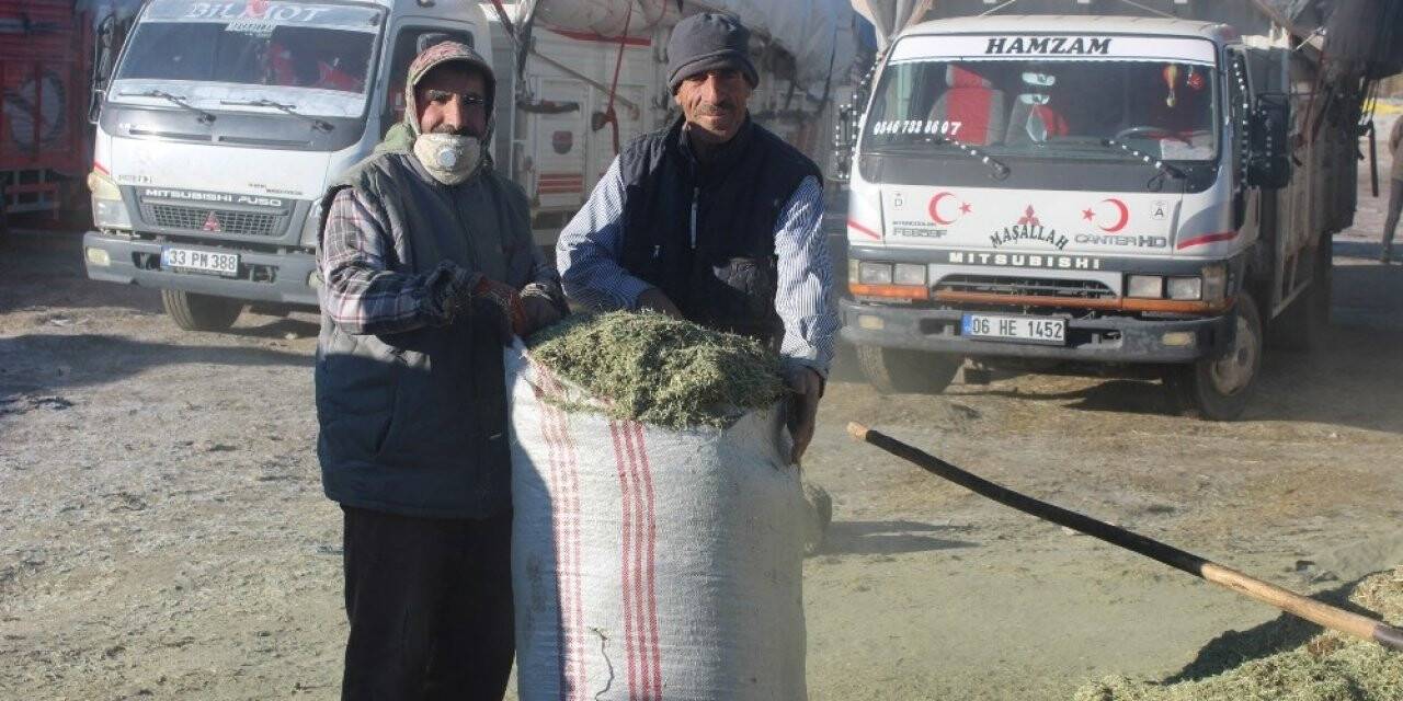 Soğuk havalar saman satışlarını düşürdü