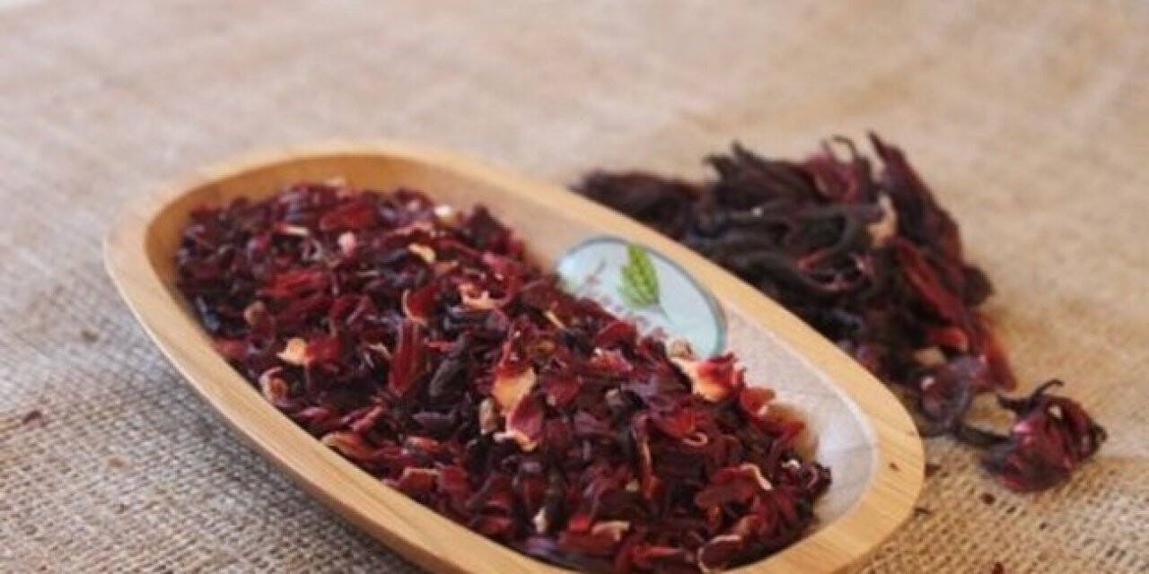 Hibiskus nedir?