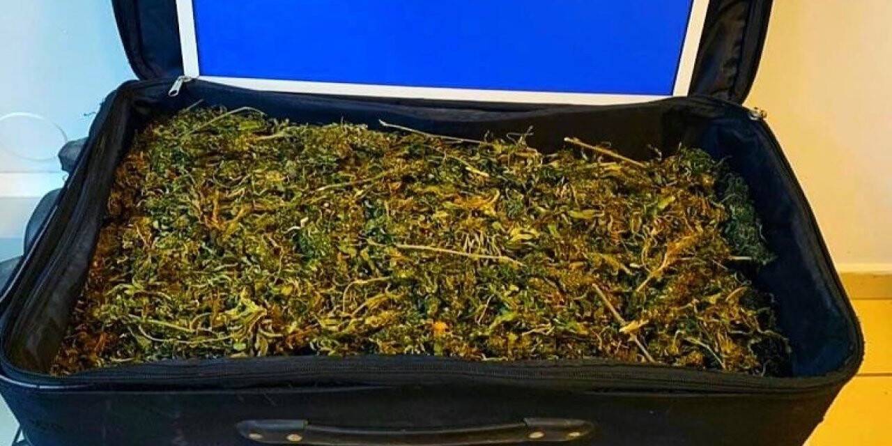 Konya’da uyuşturucu operasyonu: 5 bin gram esrar yakalandı
