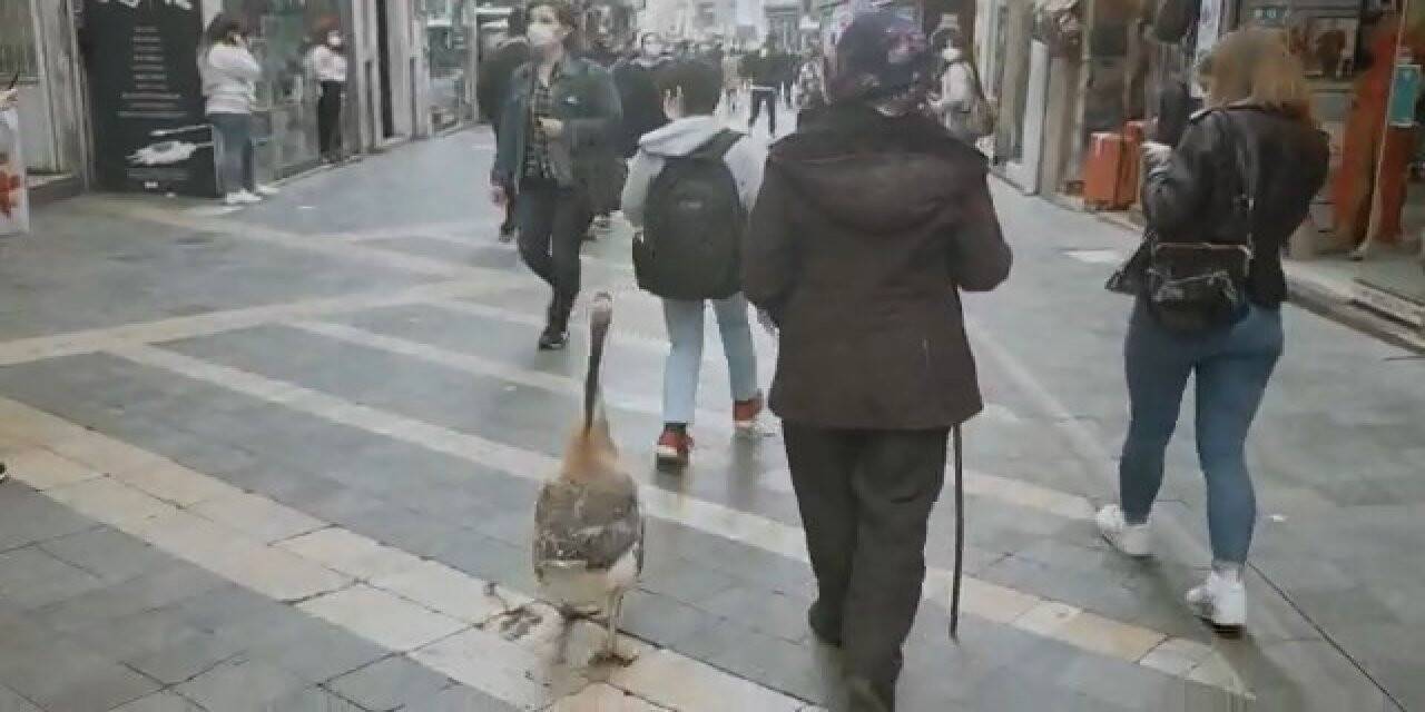 Sokakta görenler dönüp bir daha baktı