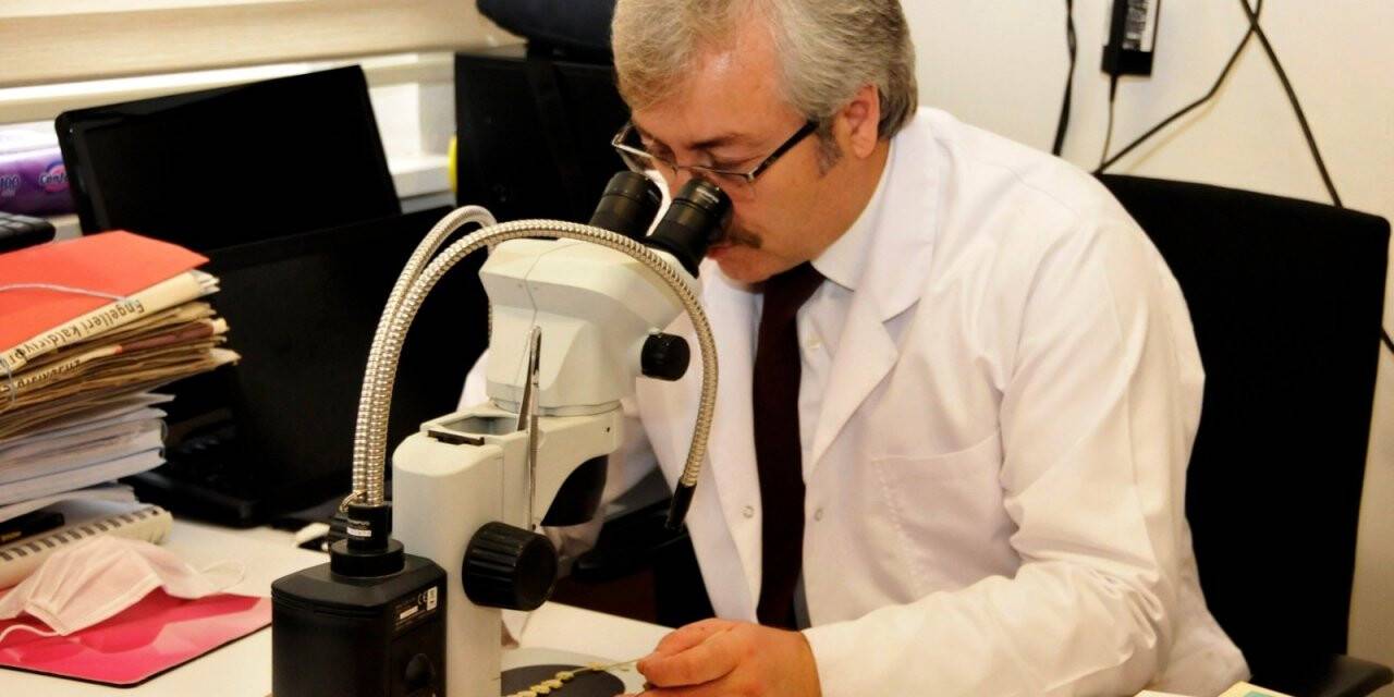 Selçuk Üniversitesi,14 yeni bitki türünü bilime kazandırdı