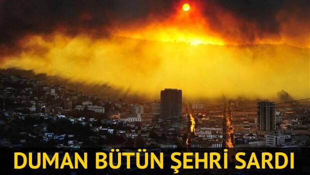 Şili'de büyük orman yangını