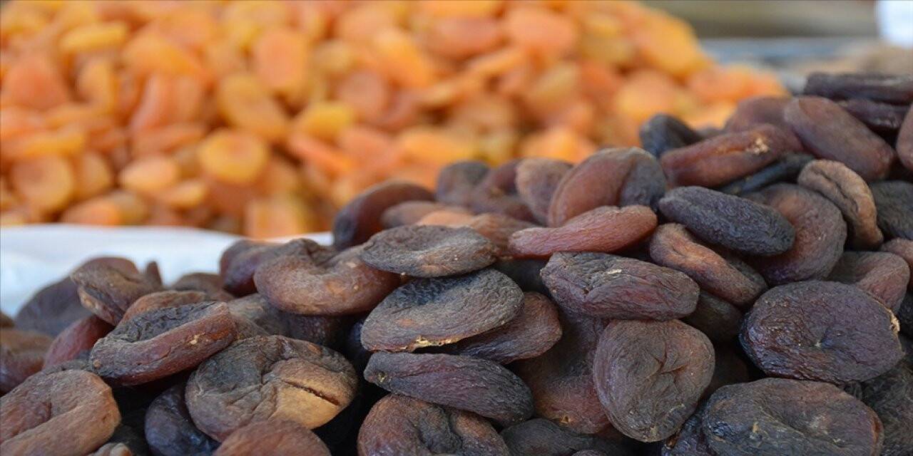 Kuru kayısı ihracatı  yüz güldürdü