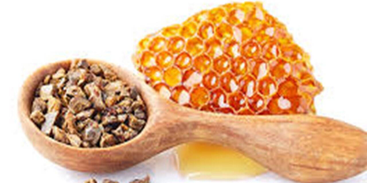 Propolis ve ham balın bağışıklık ve öksürük üzerine etkisi