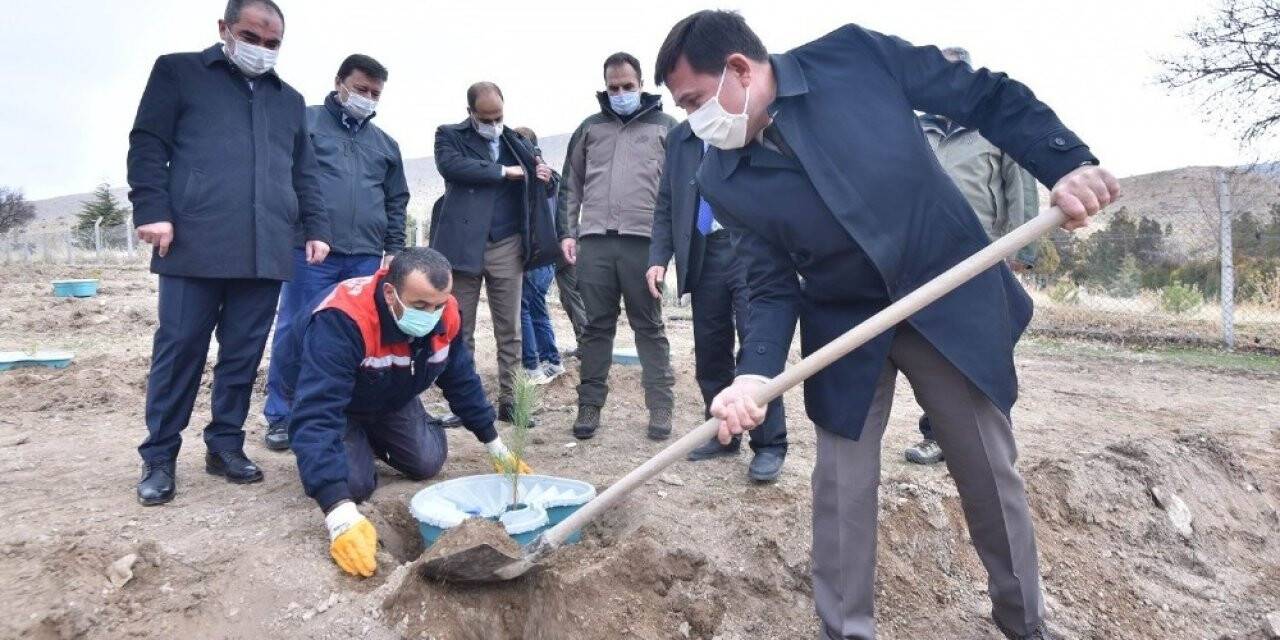 Konya’da ilk kez sulamasız fidan dikim çalışması yapıldı