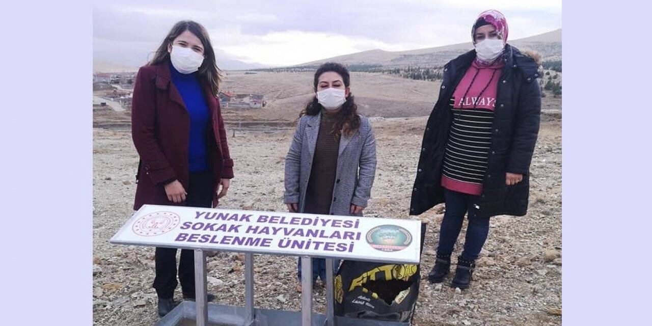 AK Parti Yunak Kadın Kolları’ndan sokak hayvanlarına yiyecek
