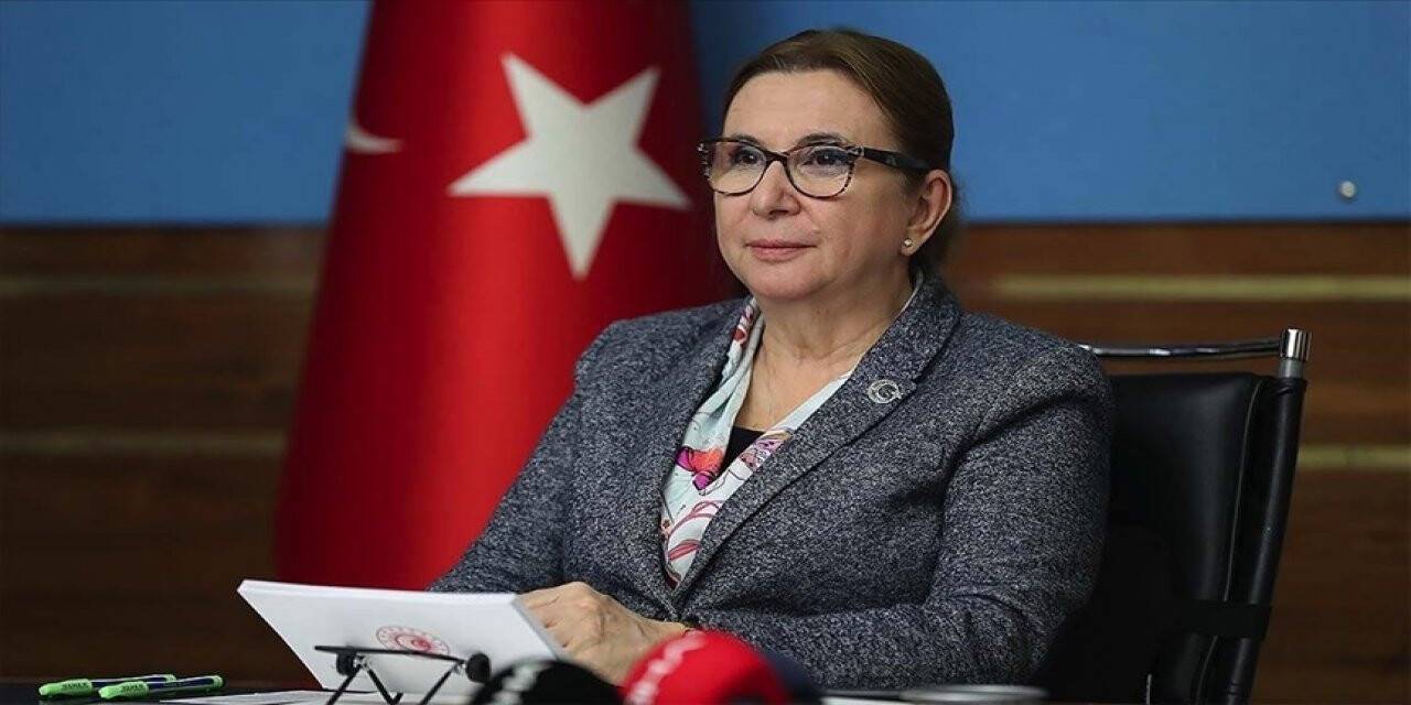 Bakan açıkladı! İşte Destek Başvurularının tarihi