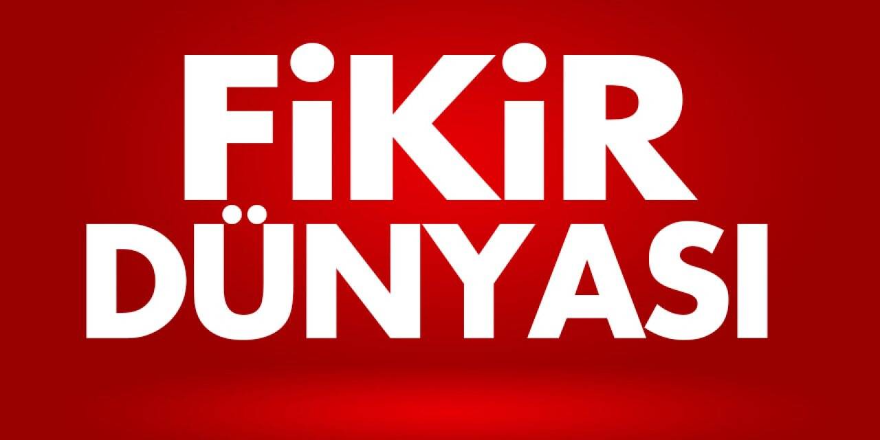 Fikir Dünyası