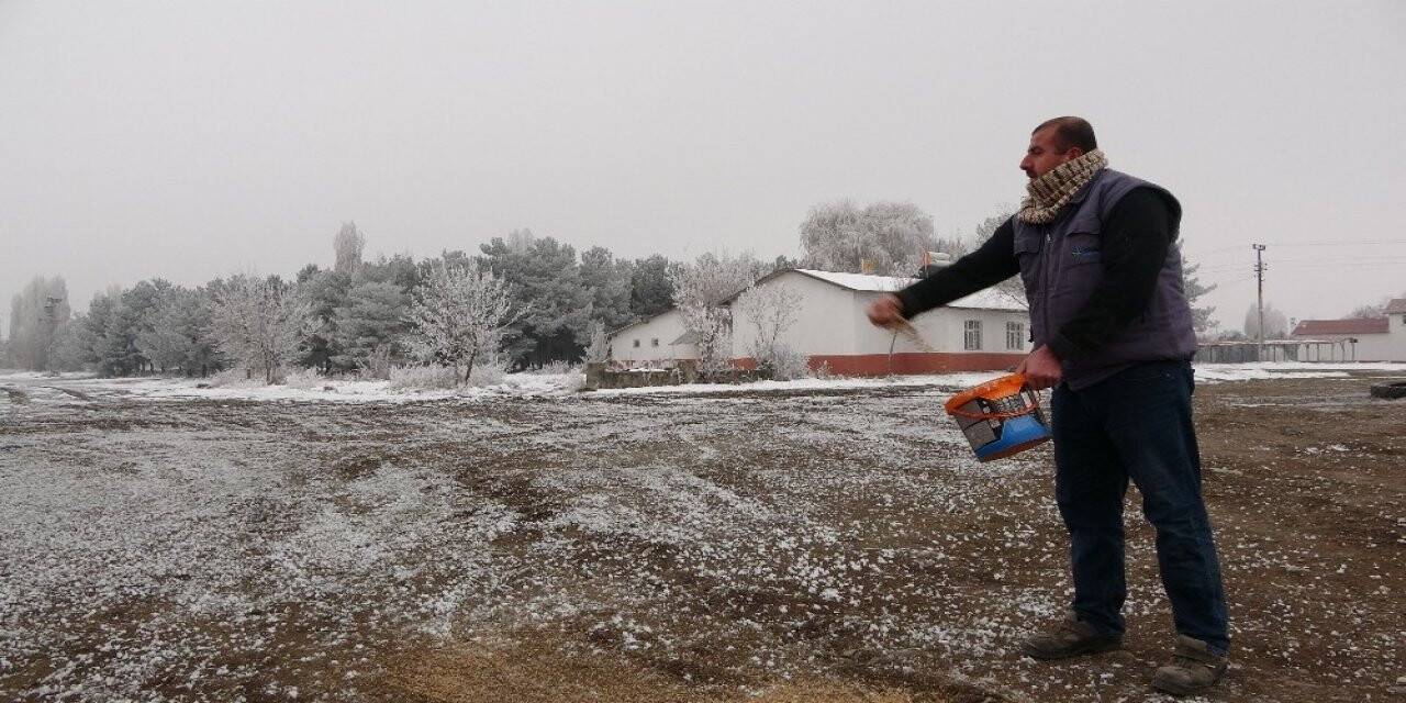 Dondurucu soğukta yem nöbeti