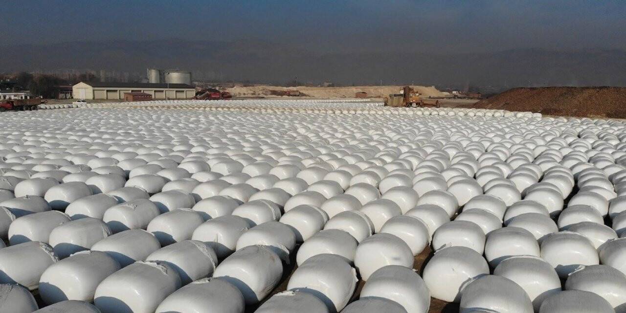 Dev kar taneleri gibi, görenleri şaşırtıyor