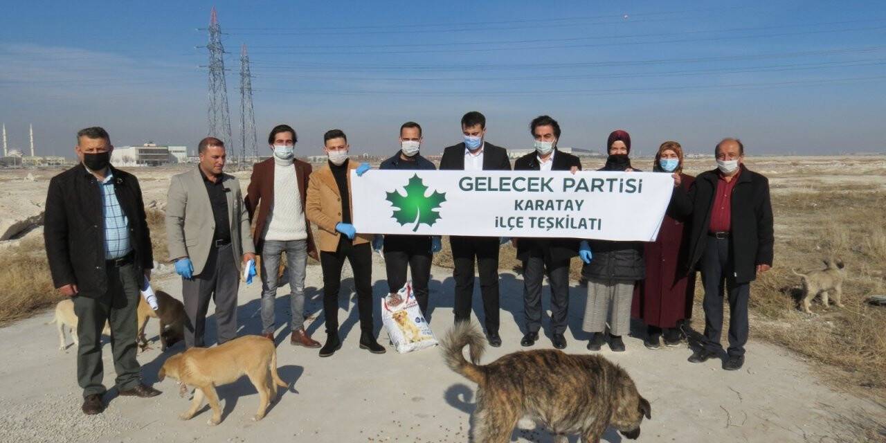 Sokak Hayvanları Aç Kalmasın