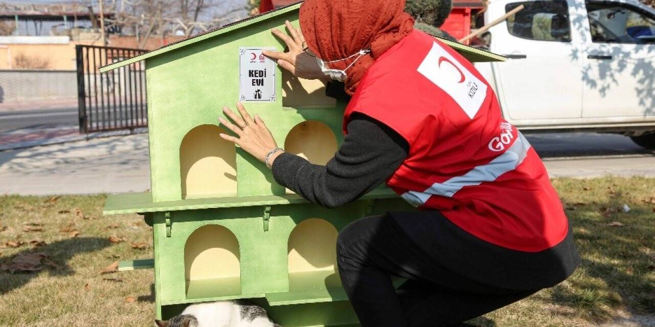 Gönüllülerce Meram’a yeni kedi, köpek ve kuş evleri kazandırılıyor