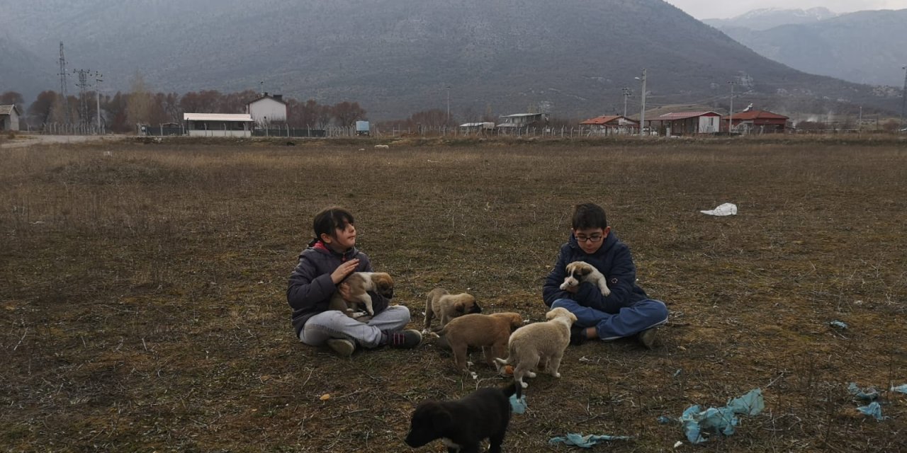 Annelerinin doyuramadığı yavru köpeklere iki küçük kardeş sahip çıktı