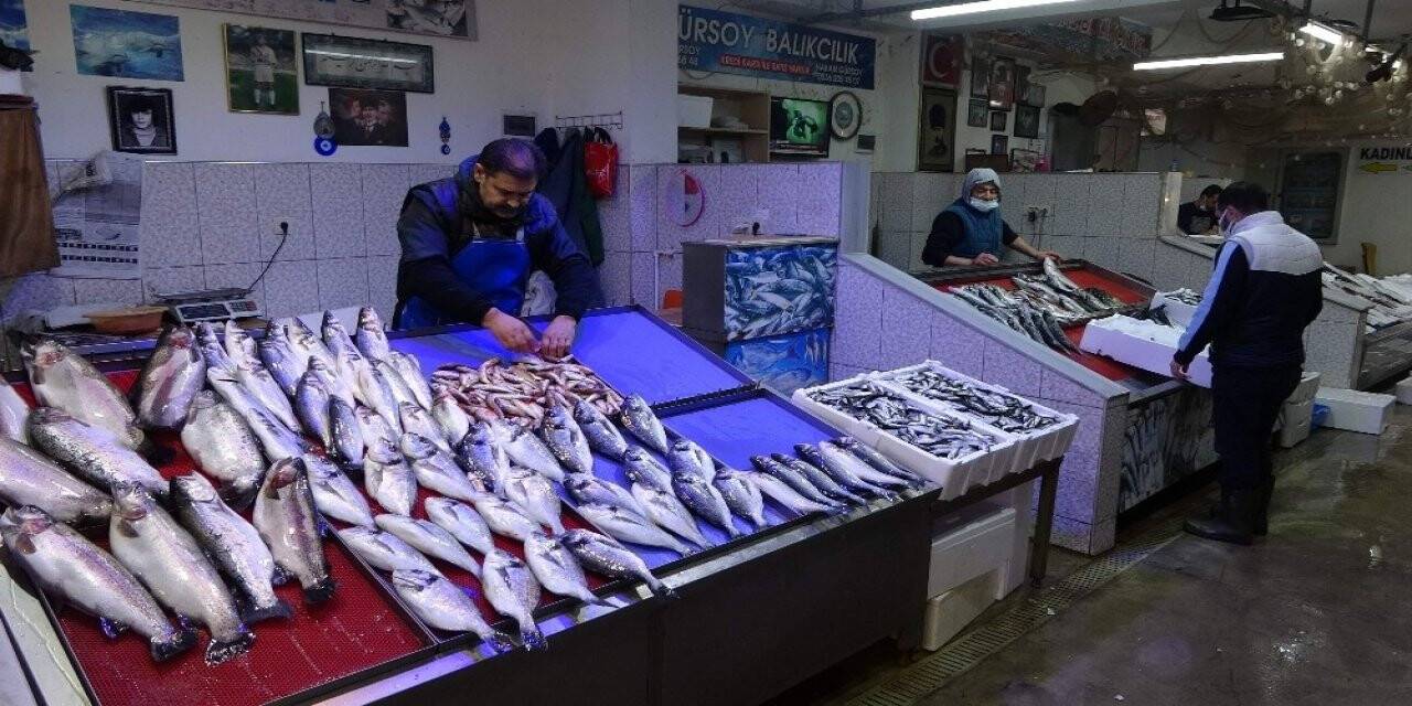 Hamsi yok, müşteri de yok