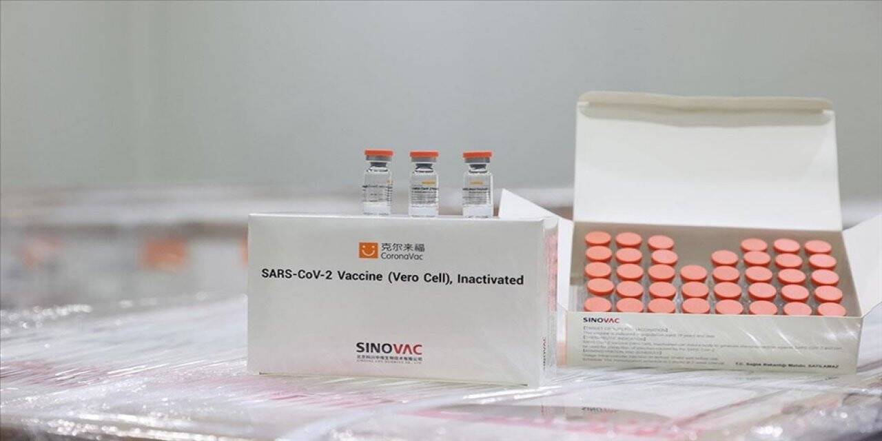CoronaVac aşısı için 'Acil Kullanım Onayı' verildi