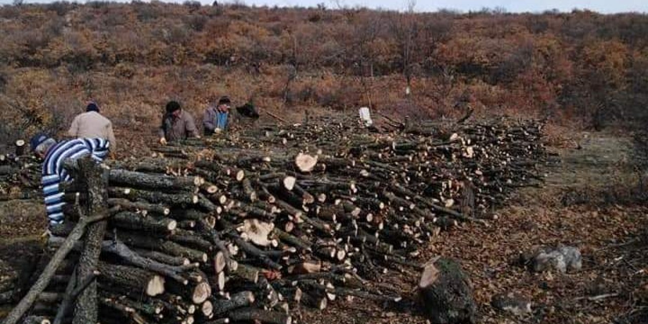 Seydişehir'de kışlık yakacak kesimi başladı