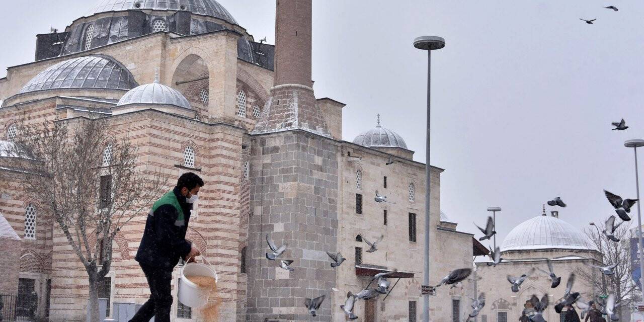 Karatay Belediyesi Sokak Hayvanlarına Sahip Çıkıyor