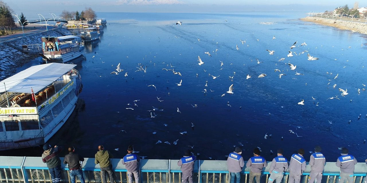 Konya'da belediye ekipleri Beyşehir Gölü'nde yaşam süren kuşları yem ve ekmekle besledi