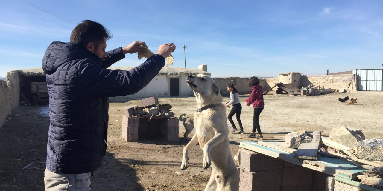 Konya Büyükşehir Belediyesi'den sokak köpeklerine evde bakım hizmeti