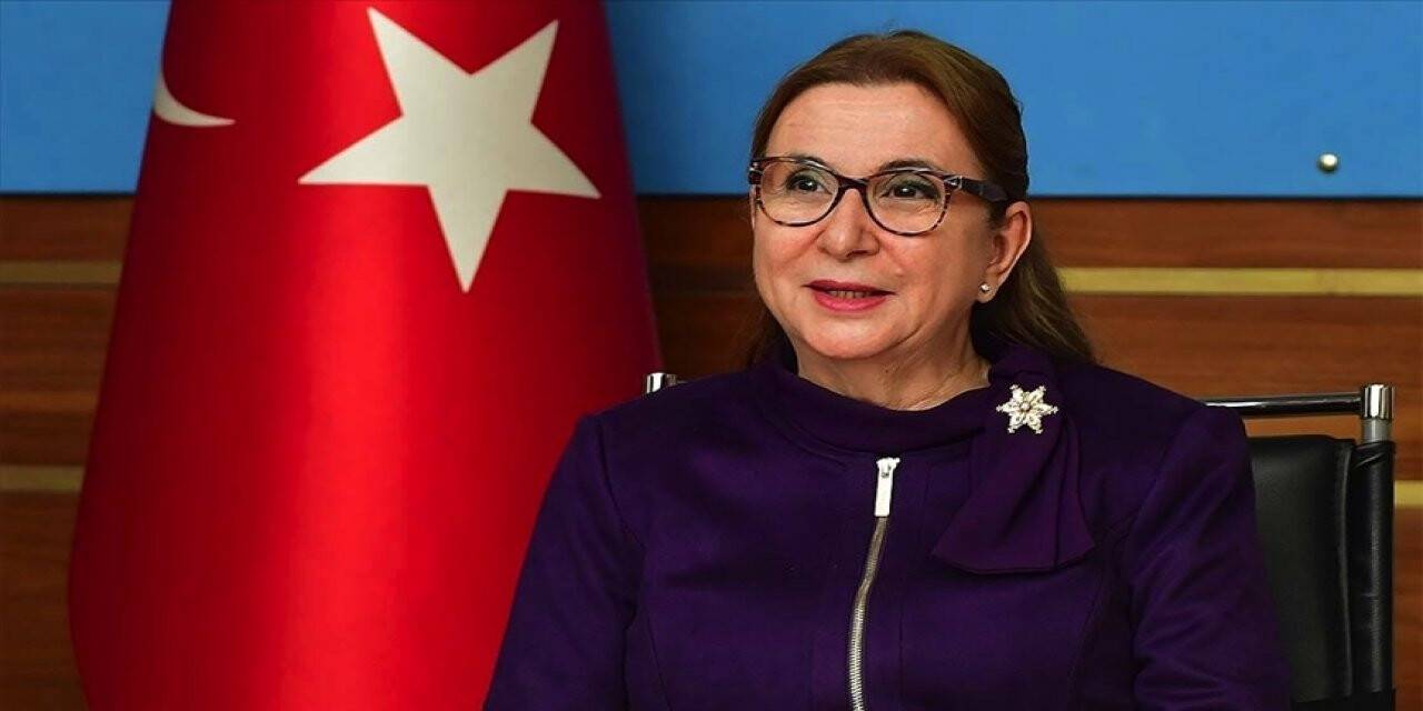 Bakan Pekcan: KOOP-DES kapsamındaki hibe desteği 2021 yılında da devam edecek