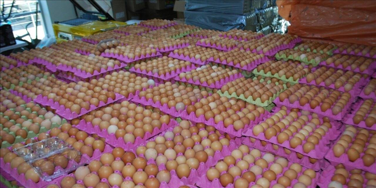 Yumurta fiyatlarının artmasında yem maliyetleri etkili oldu