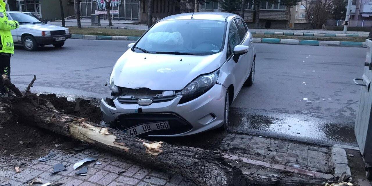 Akşehir'de otomobil ağaca çarptı: 1 yaralı