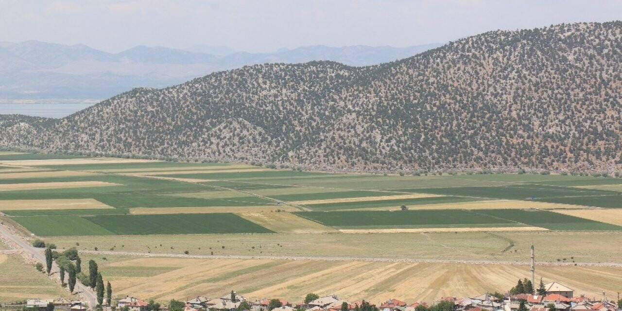 Konya’da tarımsal sulama destekleriyle endemik bitkiler yetişmeye başladı