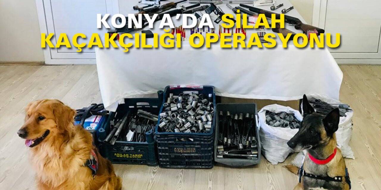 Köpeklerle silah kaçakçılığı operasyonu